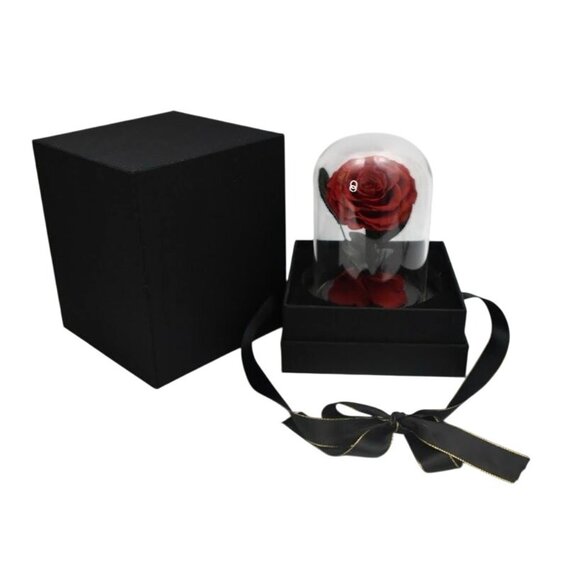 Preserved Red Rose In Glass Dome With Black Base and Gift Box - Picture 4 of 5